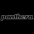 Panthera (5)